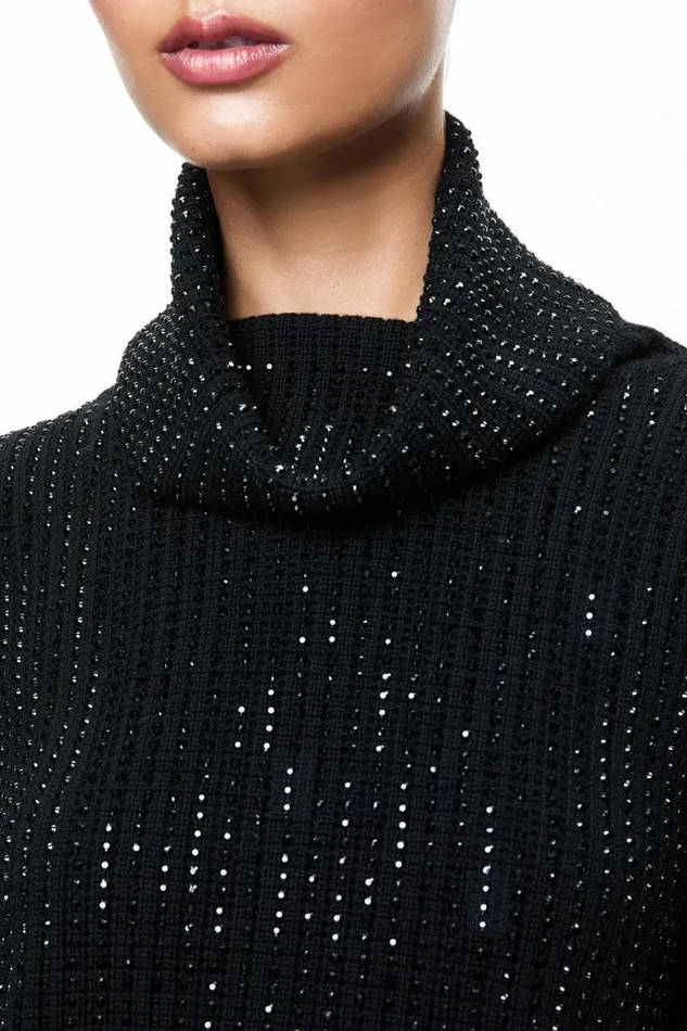 Alice Olivia Corin Pullover Black Women Sweaters