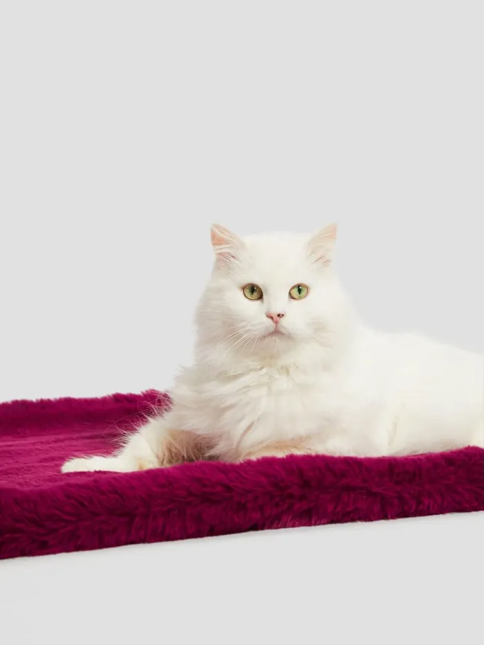 GUESS Home FauxFur Pet Carpet Red 8211 Women