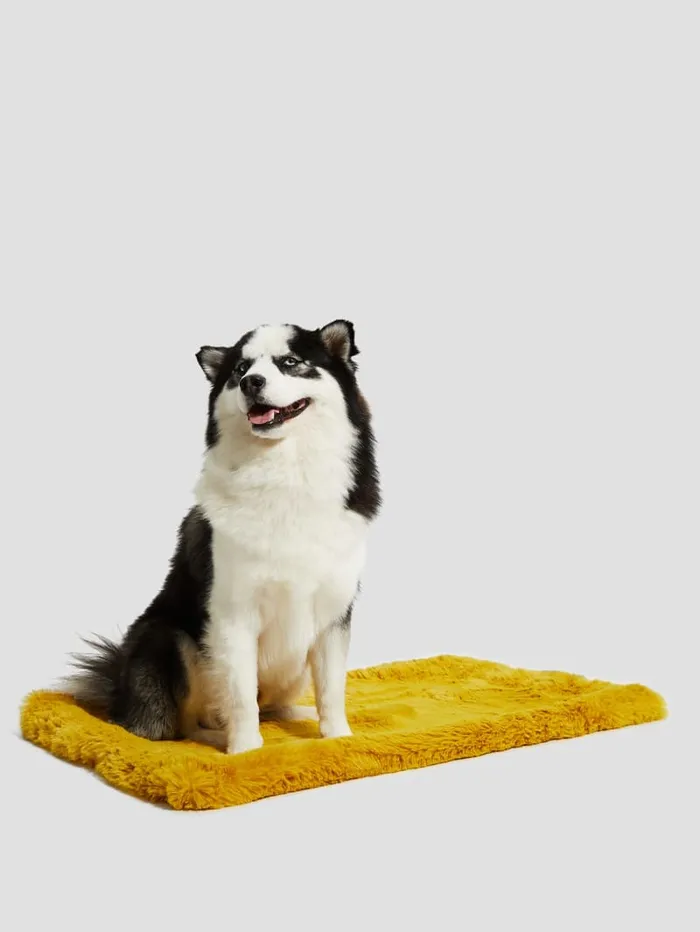 GUESS Home FauxFur Pet Carpet Yellow 8211 Women