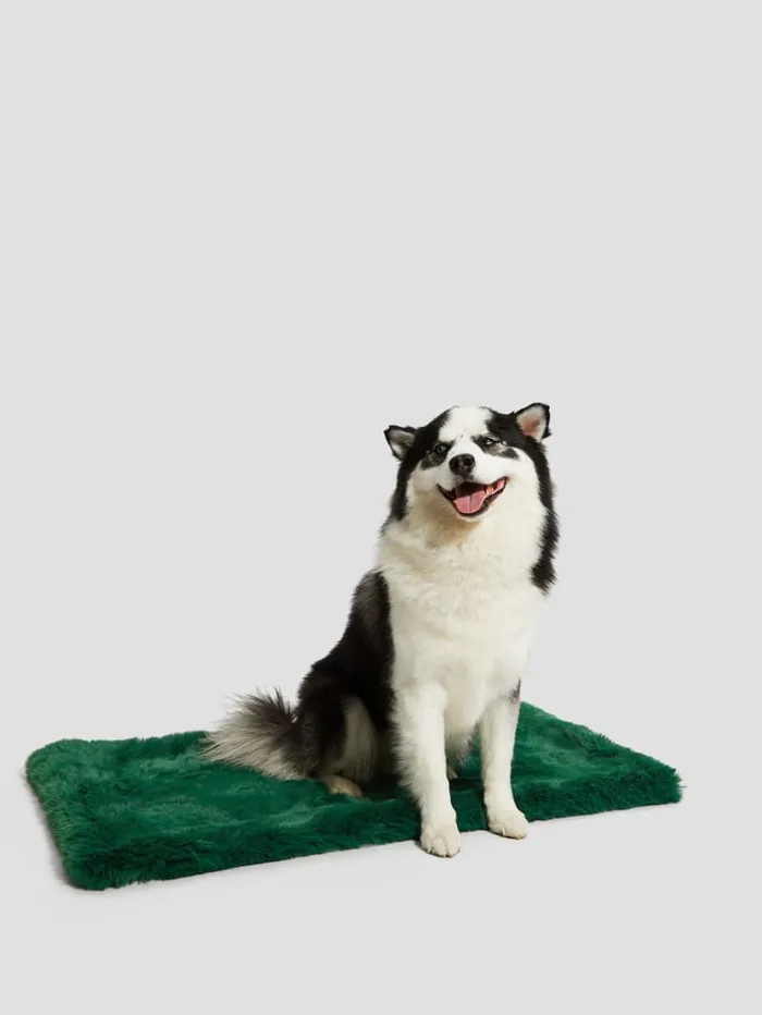 GUESS Home FauxFur Pet Carpet Yellow 8211 Women