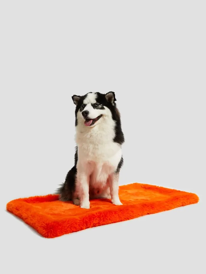 GUESS Home FauxFur Pet Carpet Yellow 8211 Women