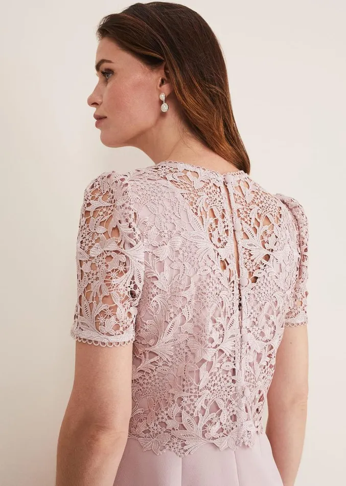 Isabella Lace Midi Dress Antique Rose Women Phase Eight Dresses