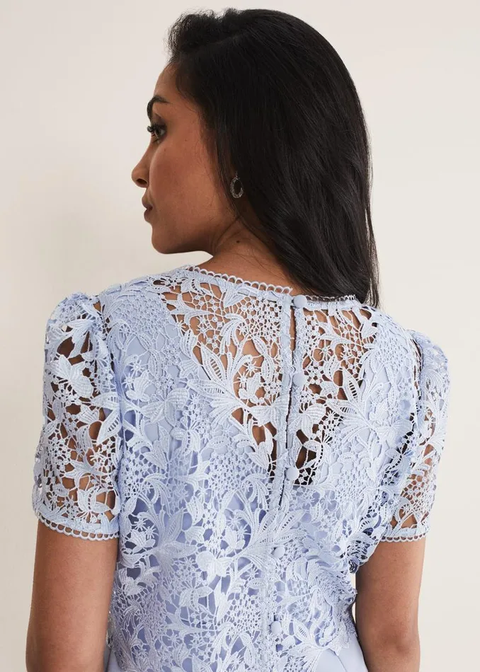 Petite Isabella Lace Midi Dress Light Cornflower Women Phase Eight Dresses