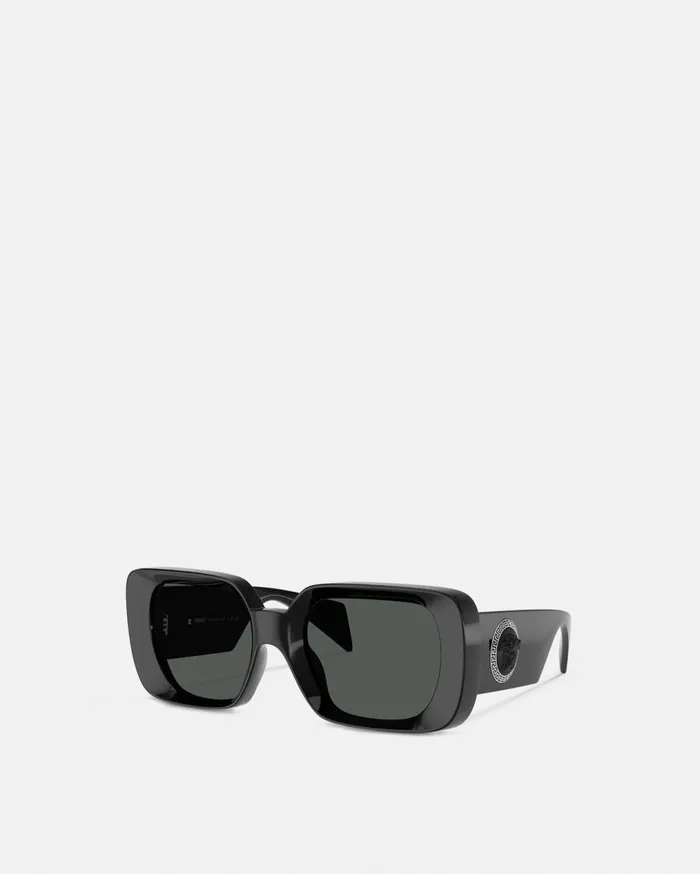Versace Sunglasses Medusa Medallion Sunglasses Black 8211 WomenMen