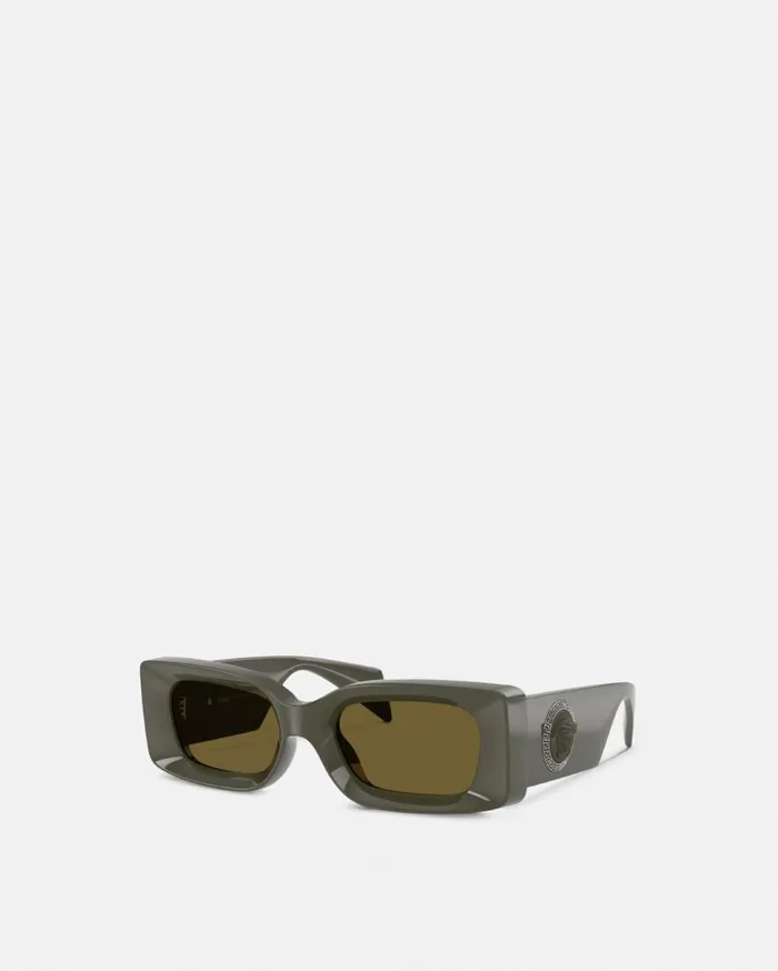 Versace Sunglasses Medusa Medallion Sunglasses Gray 8211 WomenMen