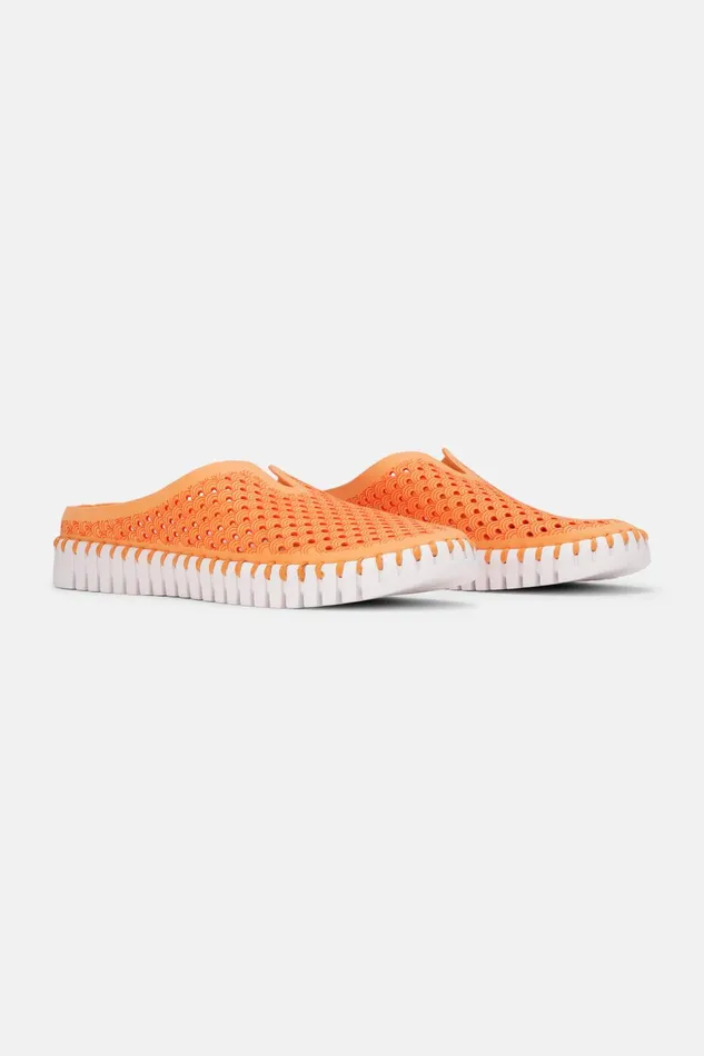 Women Ilse Jacobsen Tulip Flats Flats 8211 Mango Sorbet