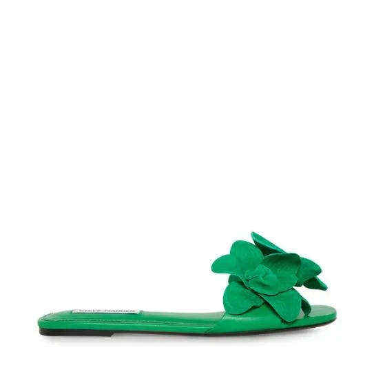 Women MELENA GREEN SUEDE Green Suede Steve Madden Sandals Women MELENA GREEN SUEDE Green Suede Steve Madden Sandals